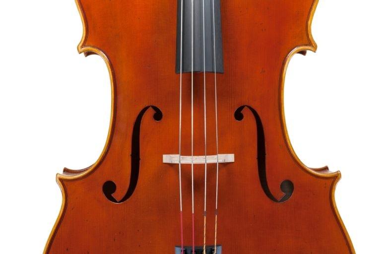 Edgar russ violoncello linea macchi