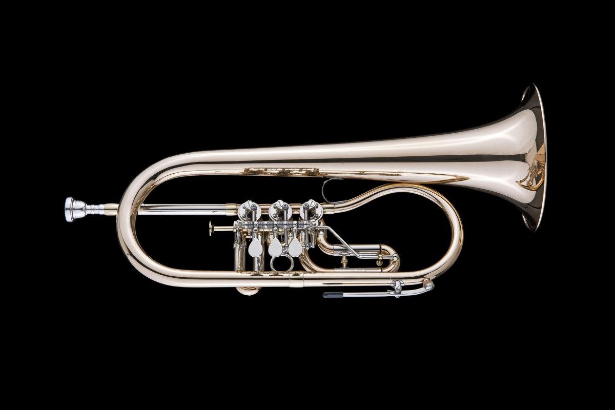 SCHAGERL HANS GANSCH Flicorno Sib - Raw