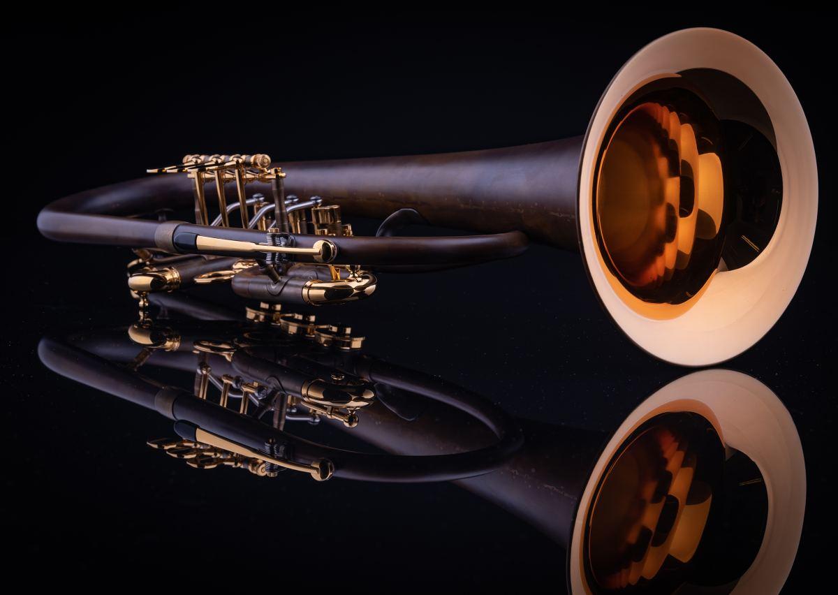 SCHAGERL HANS GANSCH Flicorno Sib - Raw