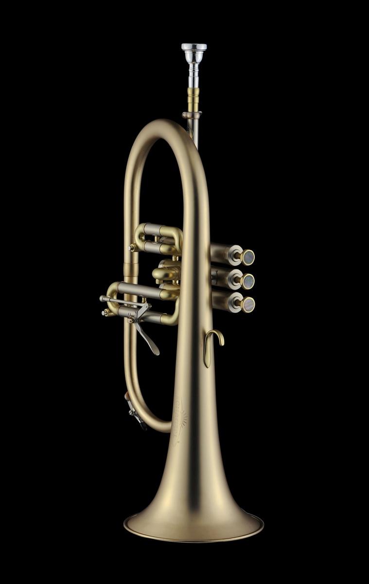 SCHAGERL  AGLAEA MEISTER Flicorno Bb - raw