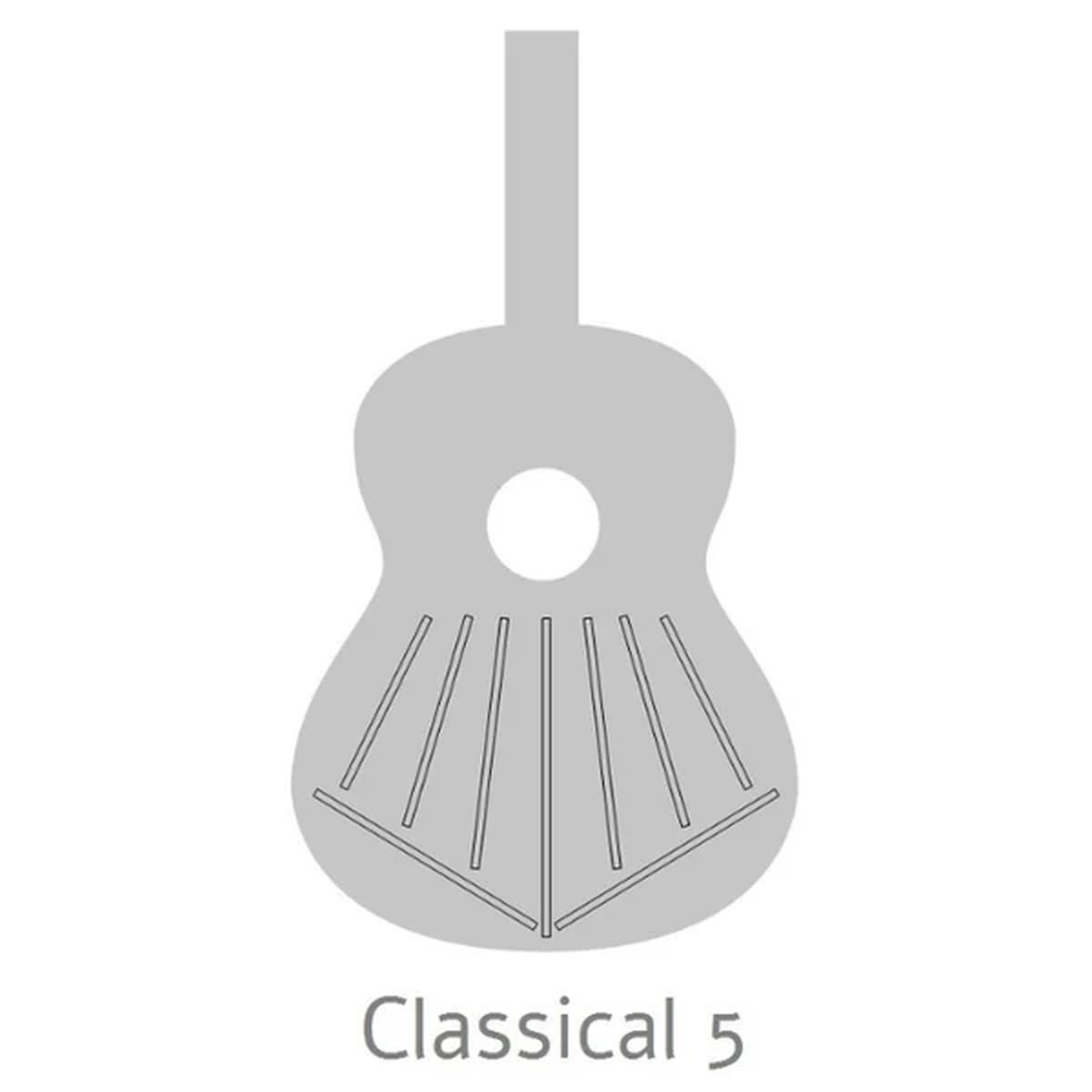 Alhambra 5p chitarra classica 4/4 con custodia