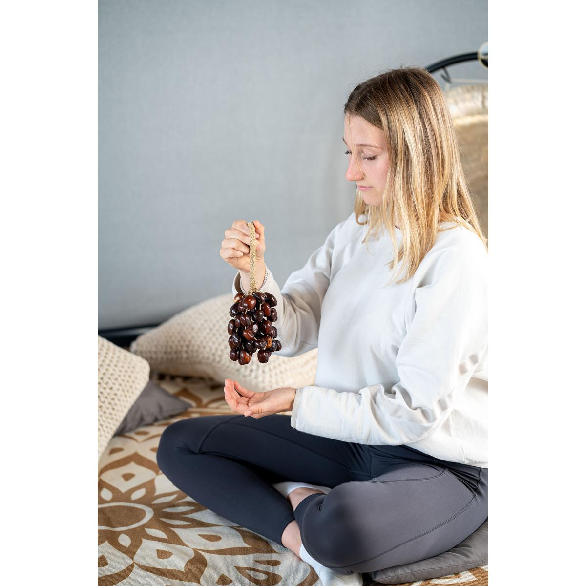 Sonic energy sprs pala shaker piccolo