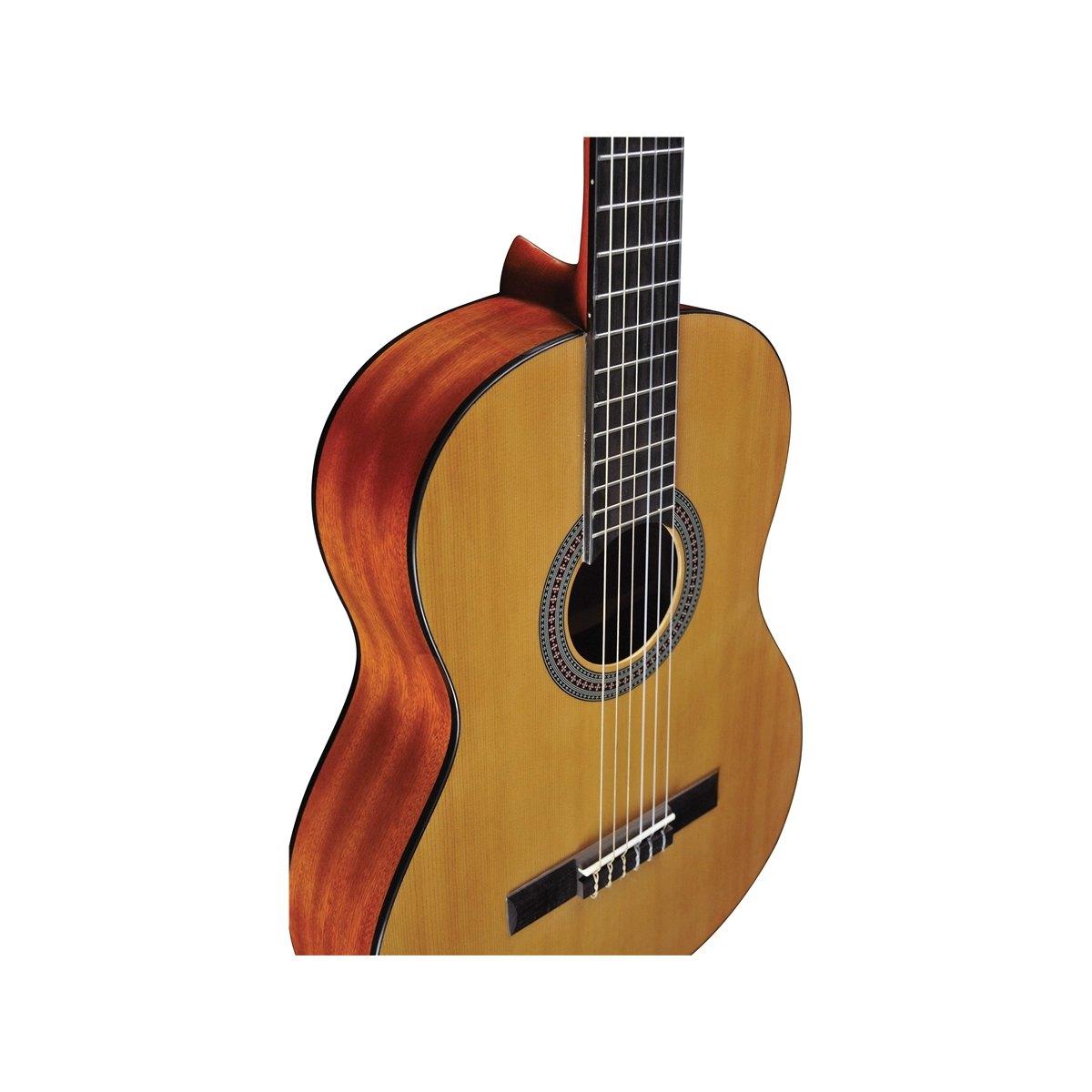 EKO GUITARS Vibra 100 Natural