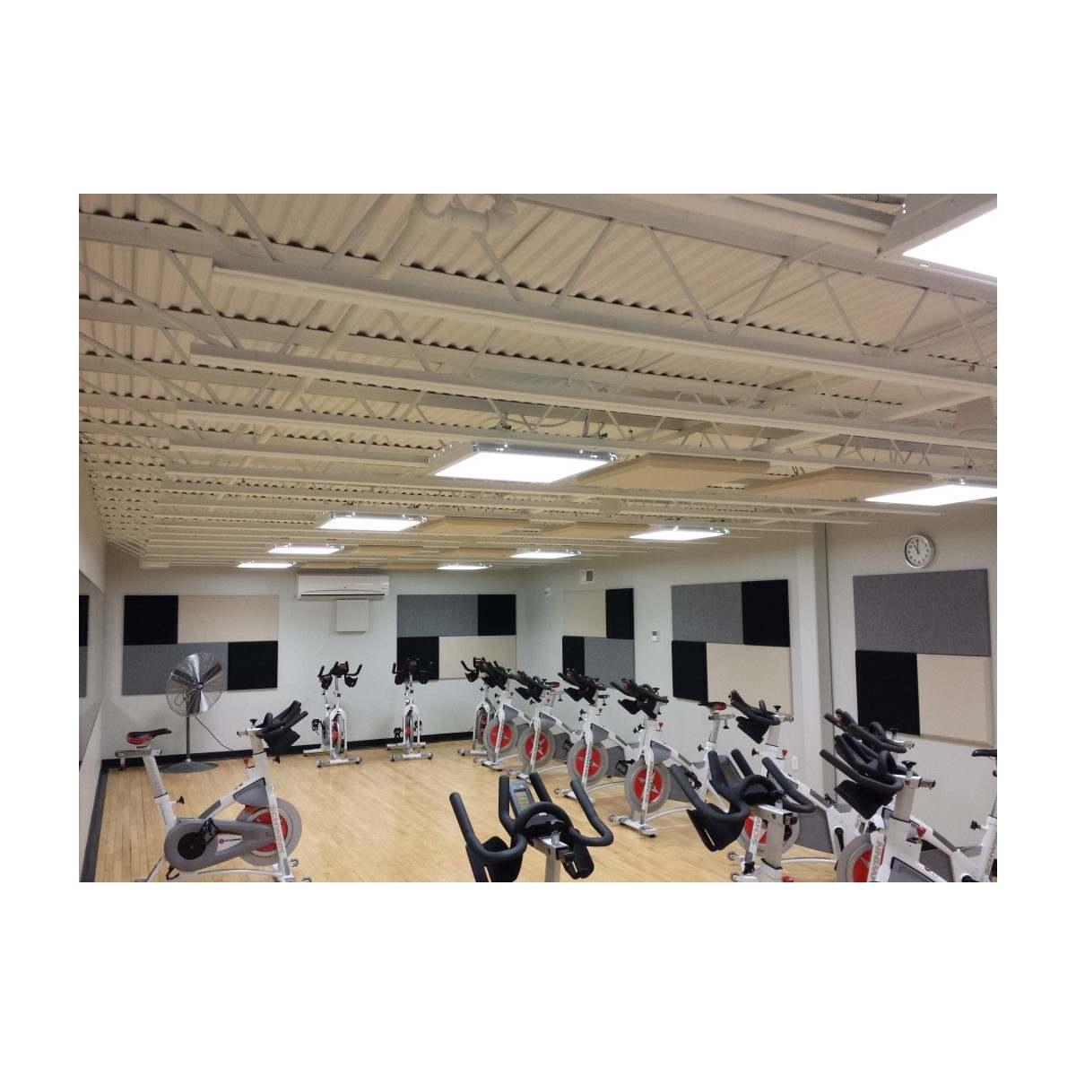 PRIMACOUSTIC 2 Control Cubes F102-2424-00