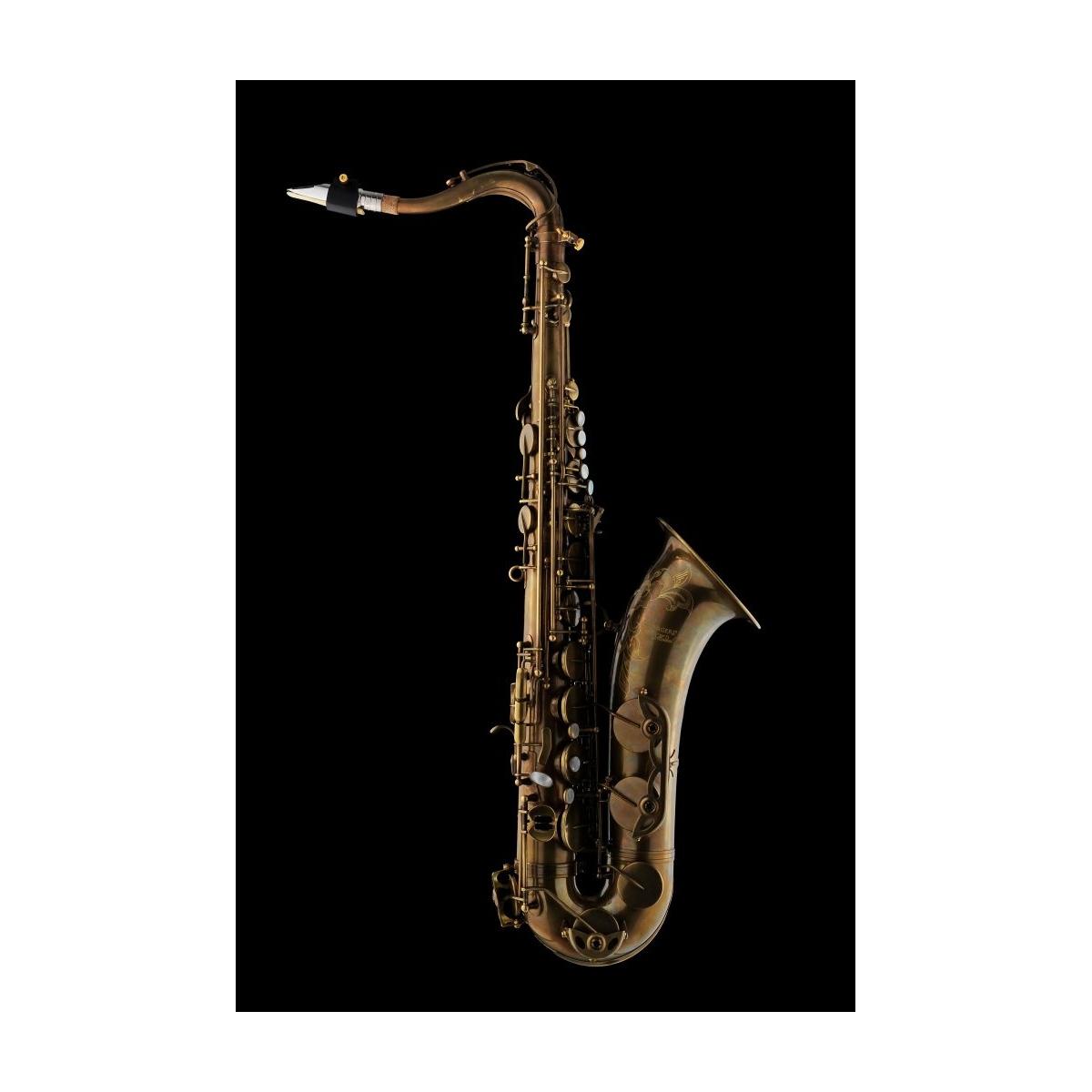 Schagerl T-66V-EC Model 66 Sax Tenore