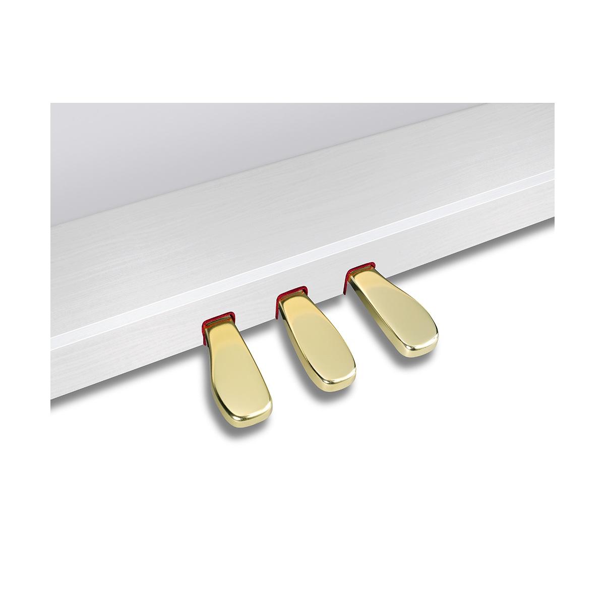 CASIO CELVIANO Grand Hybrid GP-310WE