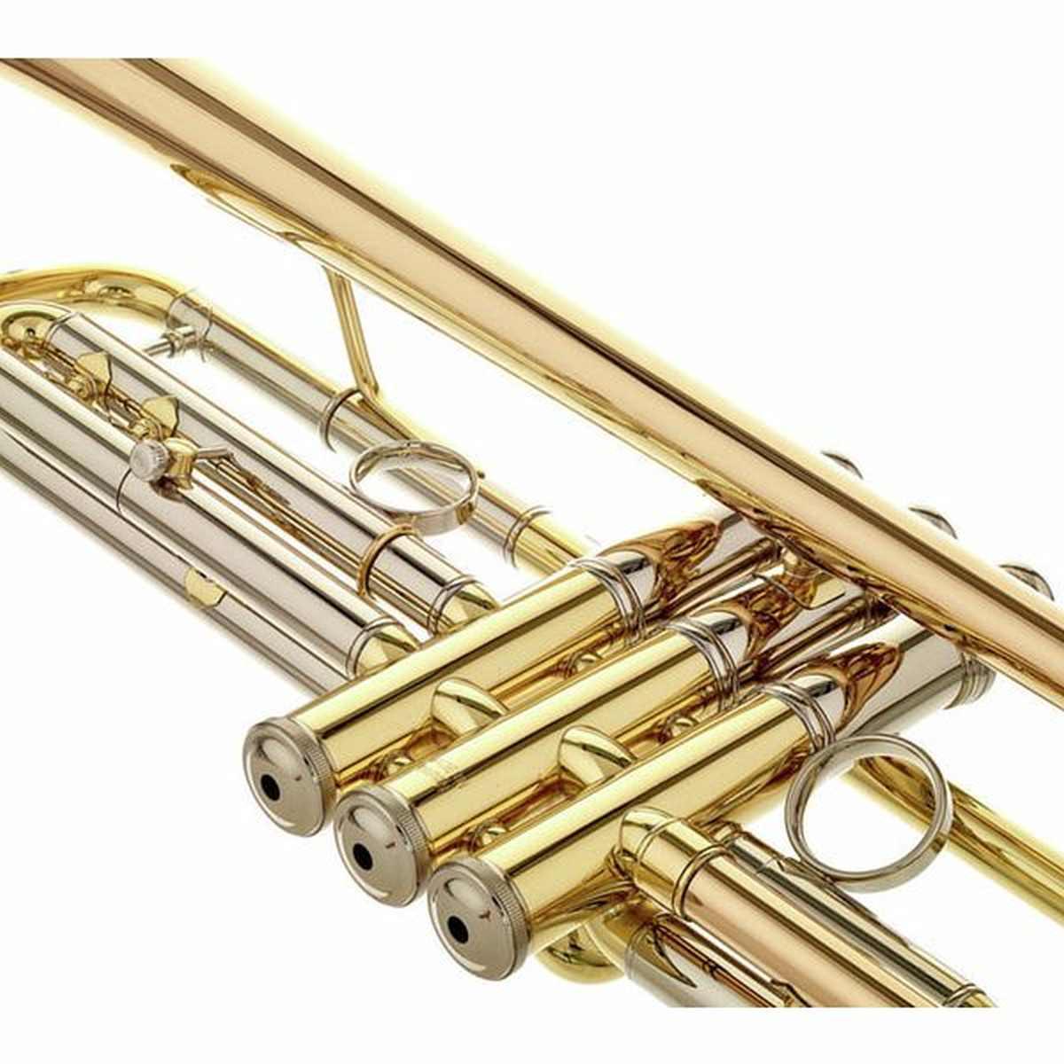 Yamaha ytr8345r 04 tromba custom