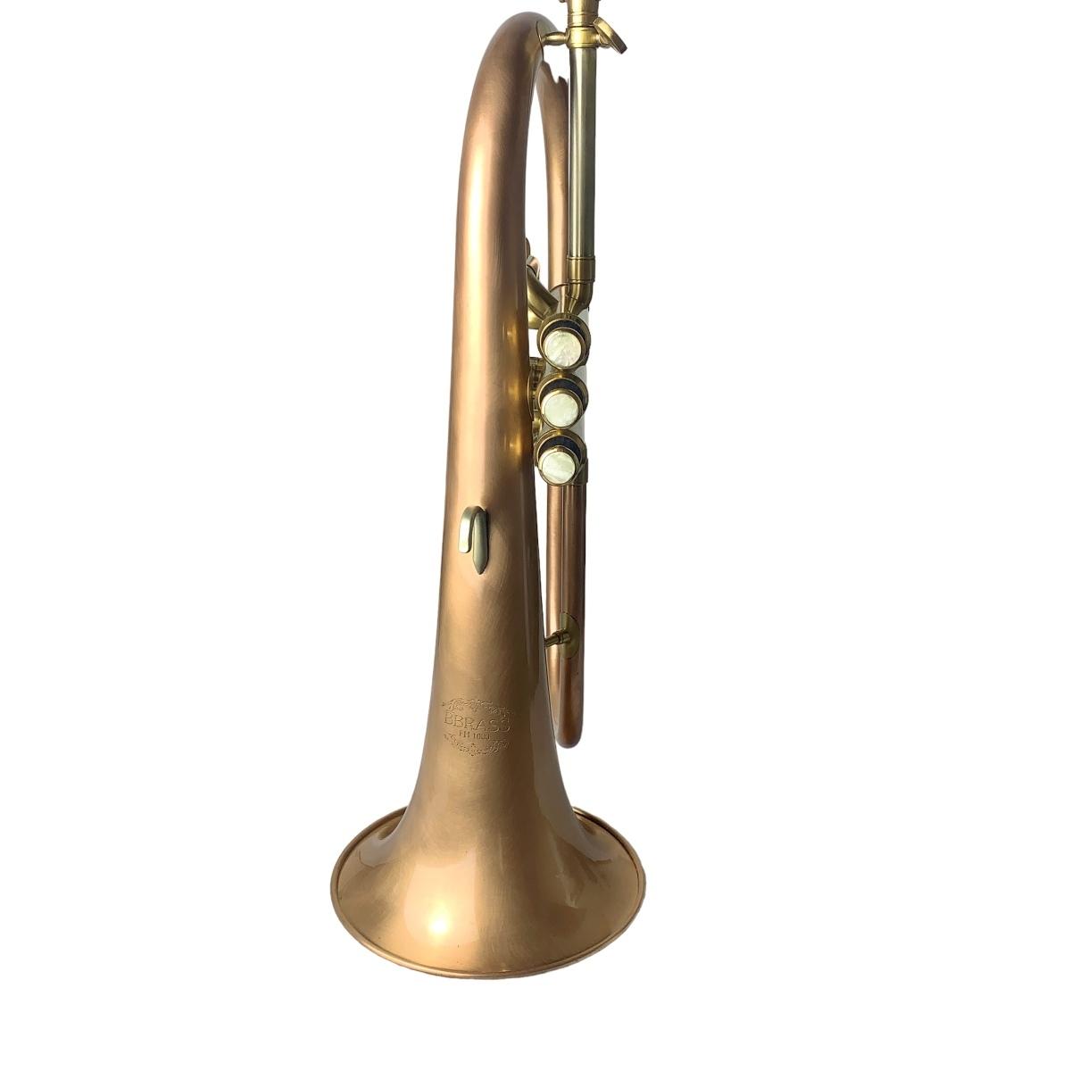 BBRASS FH1000 FLICORNO SOPRANO Brushed Brass