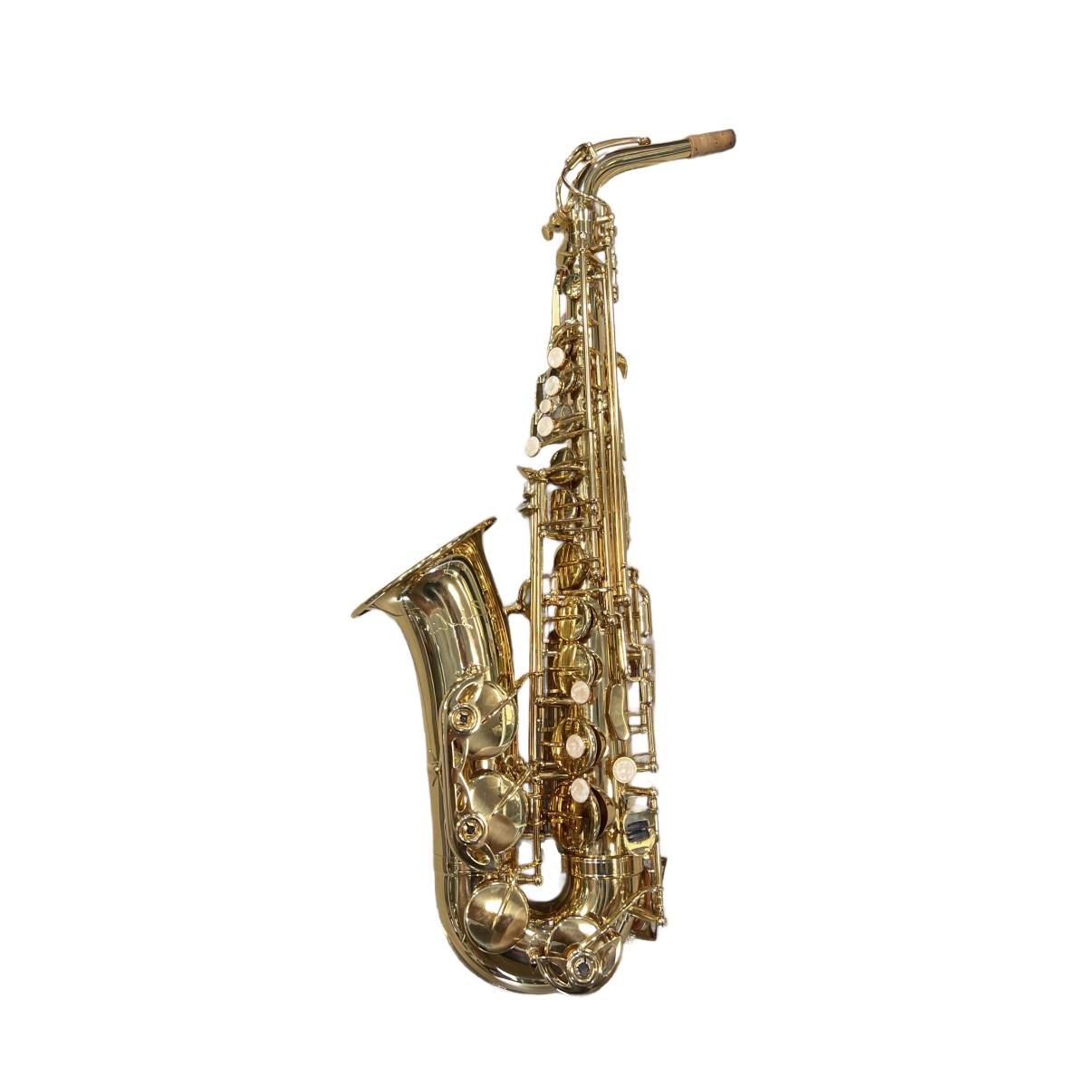 Cigalini custom evolution sax alto rose gold