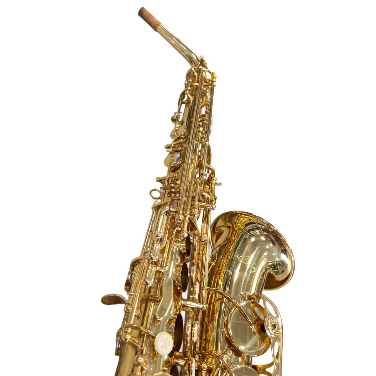 Cigalini custom evolution sax alto rose gold
