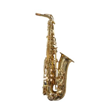 Cigalini custom evolution sax alto rose gold