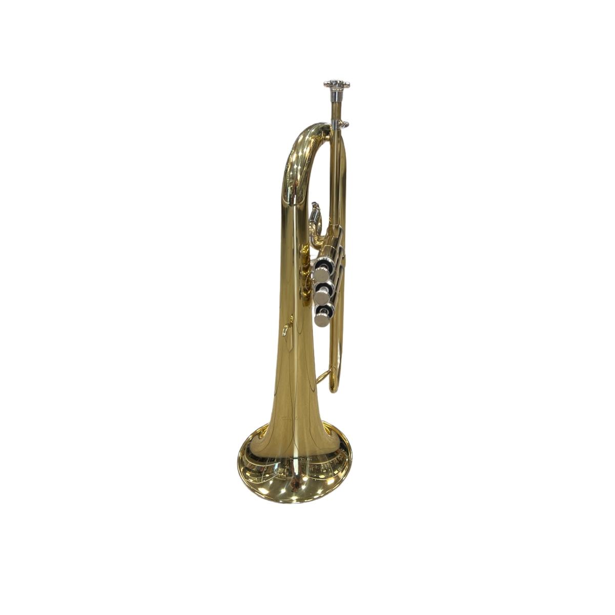 Cigalini flicorno soprano