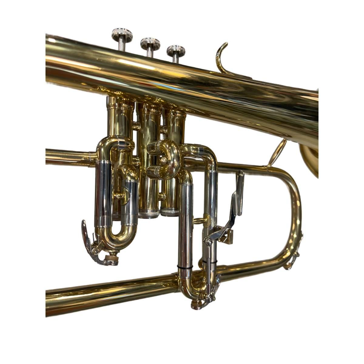 Cigalini flicorno soprano