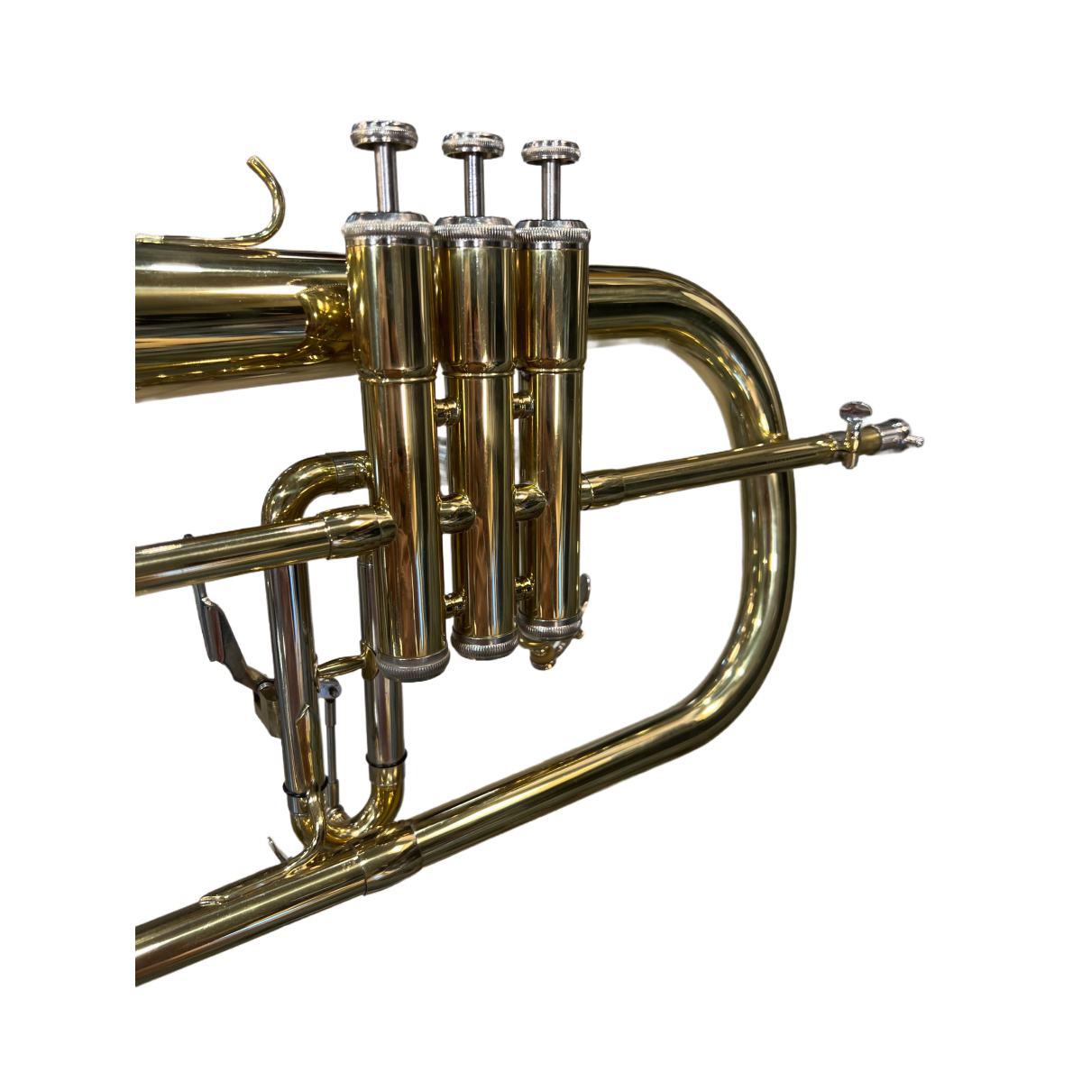 Cigalini flicorno soprano