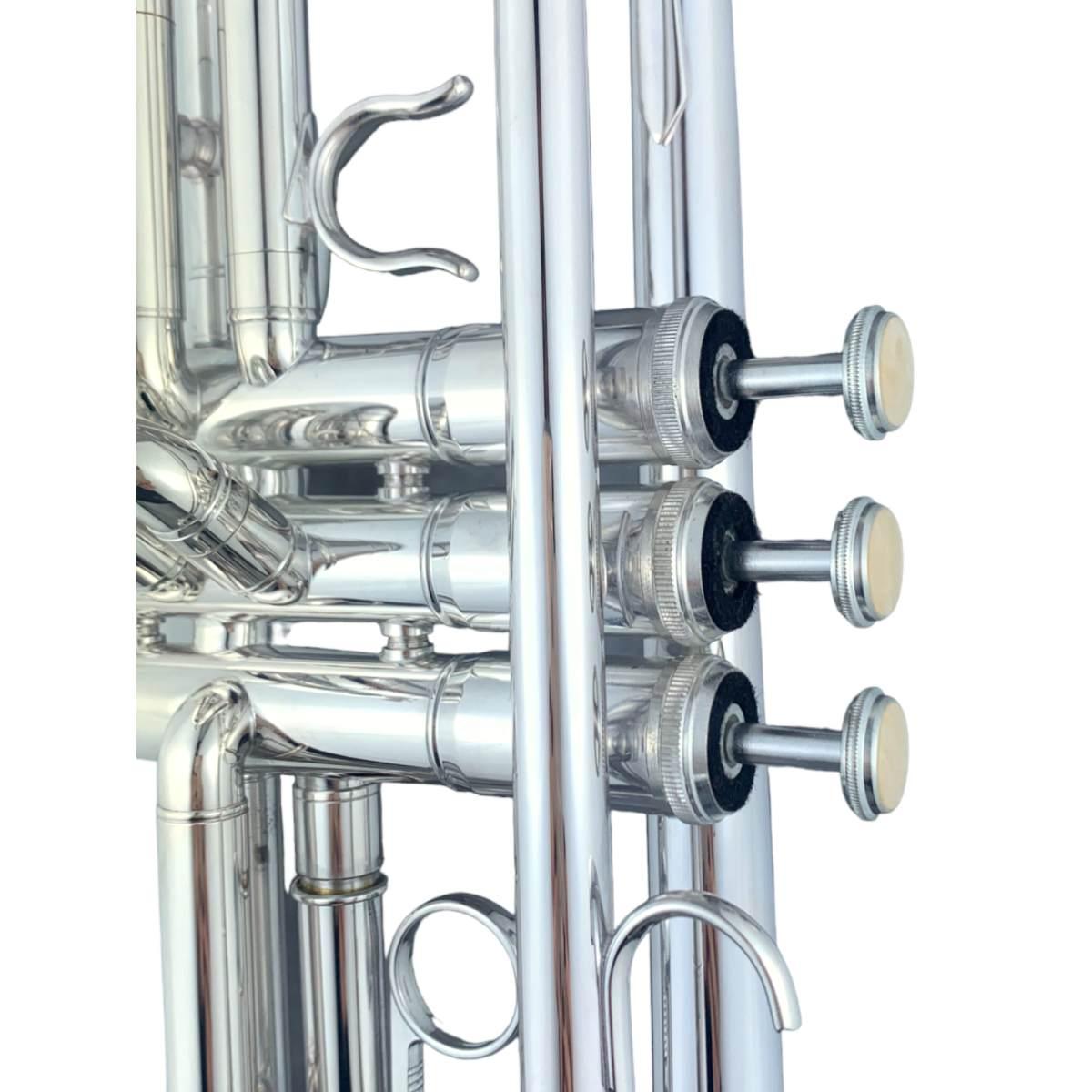 Cigalini tromba in sib serie studio argentata