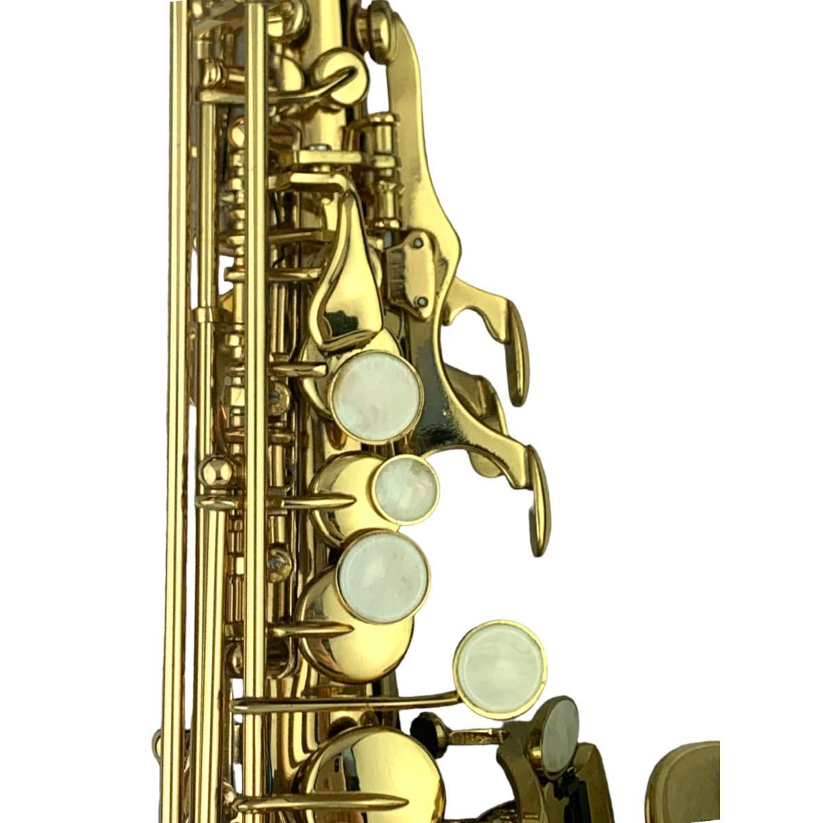 Cigalini sax soprano curvo serie studio laccato
