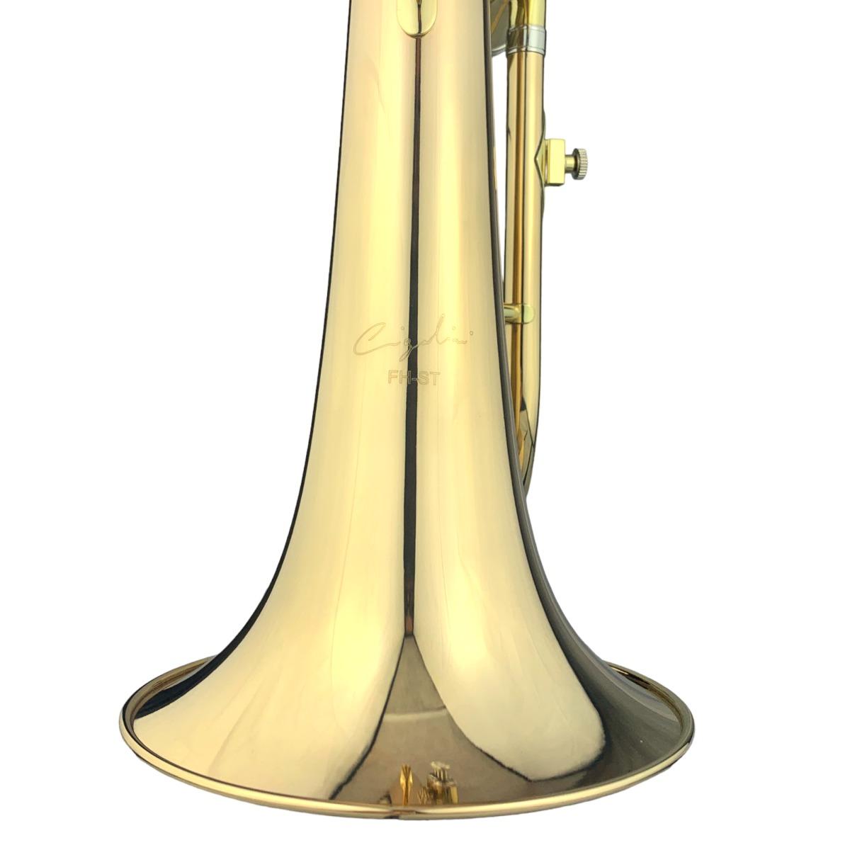 Cigalini 310 flicorno soprano in sib laccato