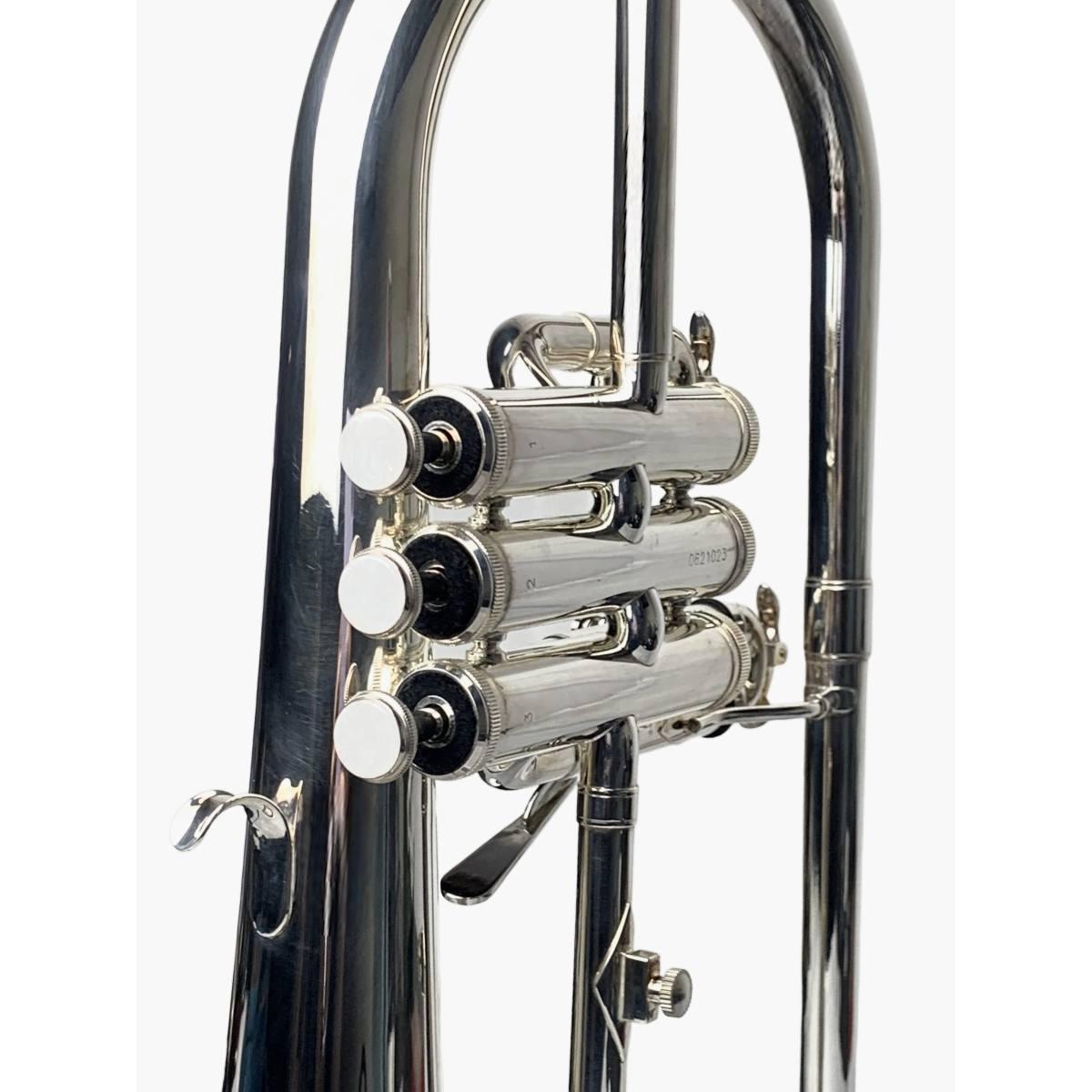 BBRASS 310 FLICORNO IN SIb ARGENTATO