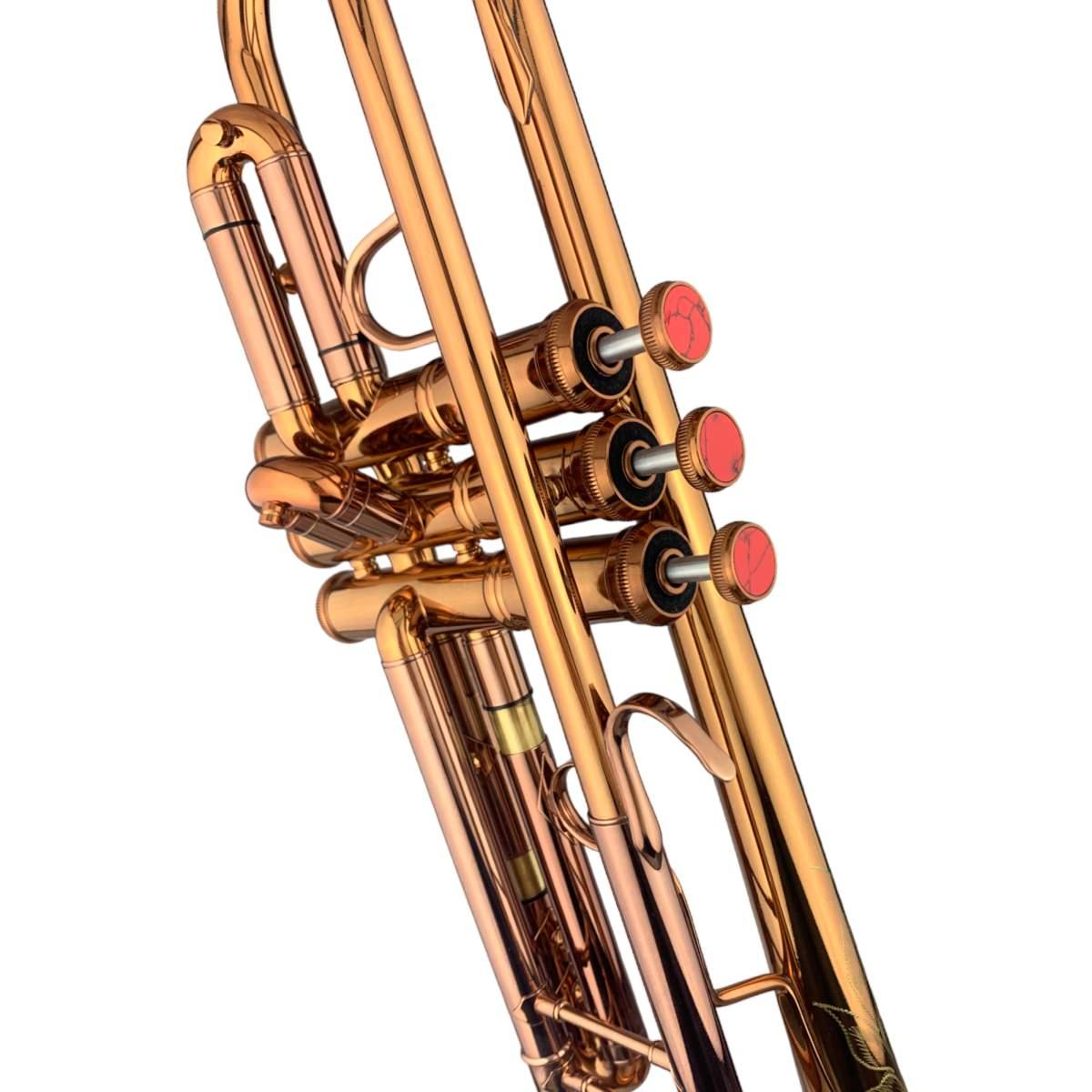 Bbrass bolden tromba sib dark coffee