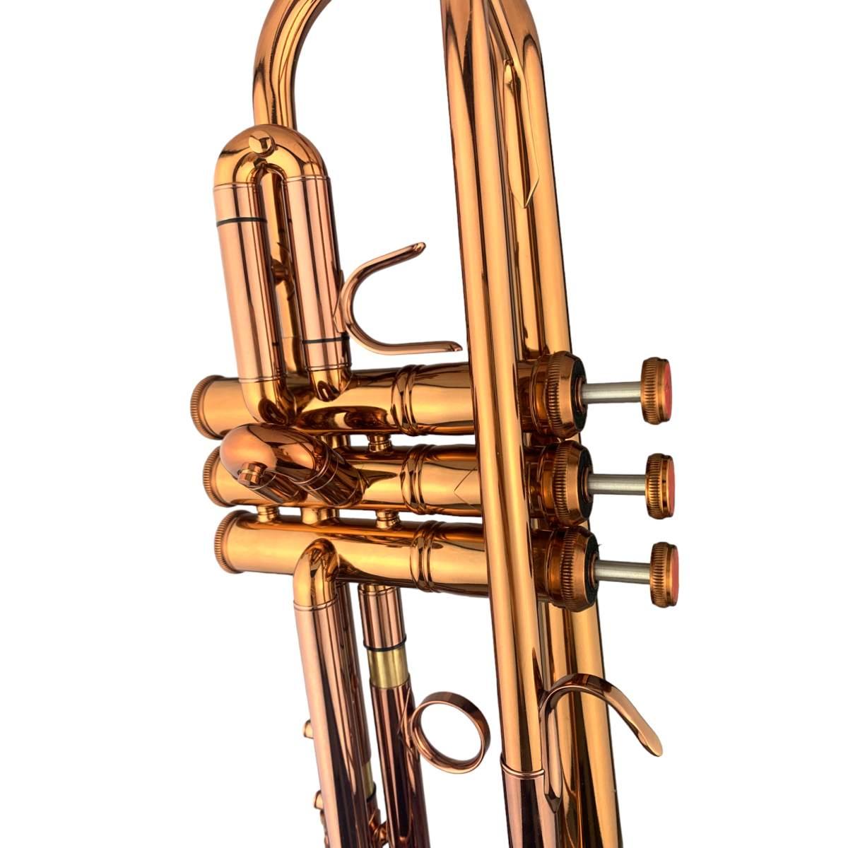 Bbrass bolden tromba sib dark coffee