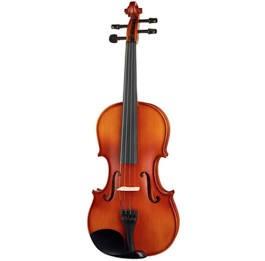 Fenice viola  mod. c39.5 con custodia ed archetto