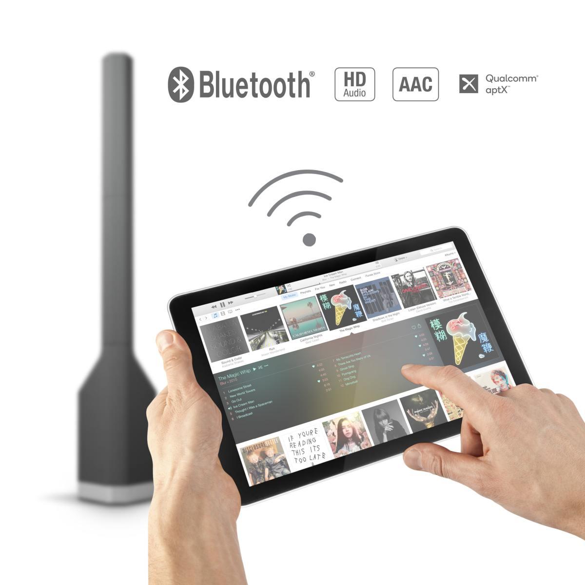 LD SYSTEMS MAUI P900 B - Sistema PA a colonna con alimentazione di Porsche Design Studio in Graphite Black