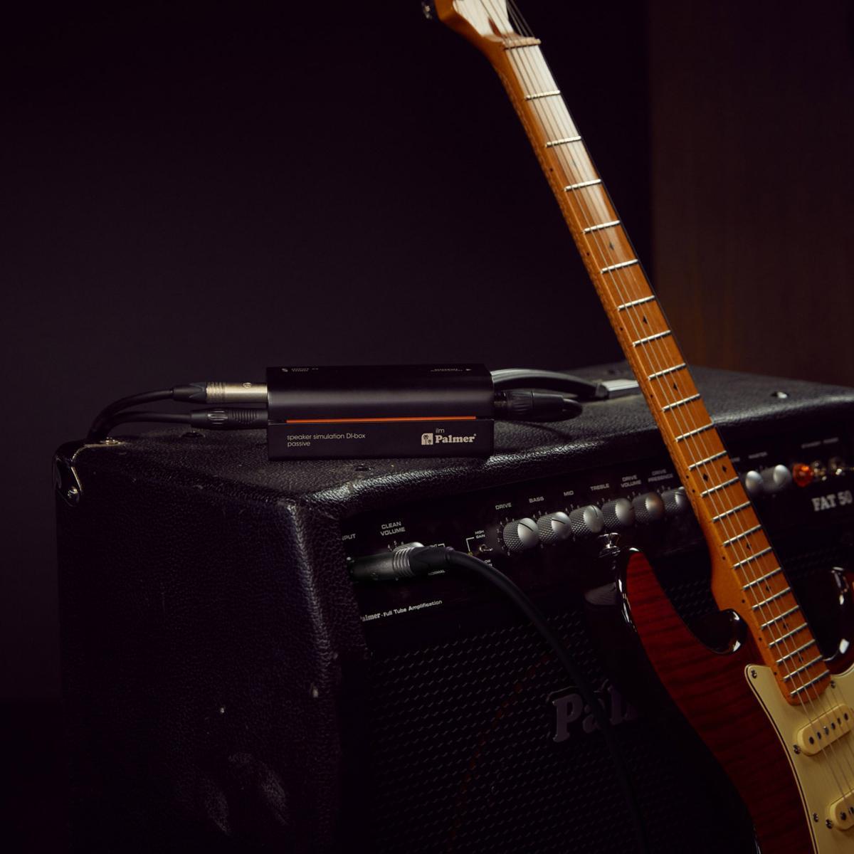 PALMER RIVER ilm - DI BOX SIMULATORE DI SPEAKER PASSIVO