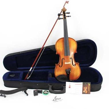 PLC II MONTEVERDI Violino 1/10 s/n TL002-2 con custodia