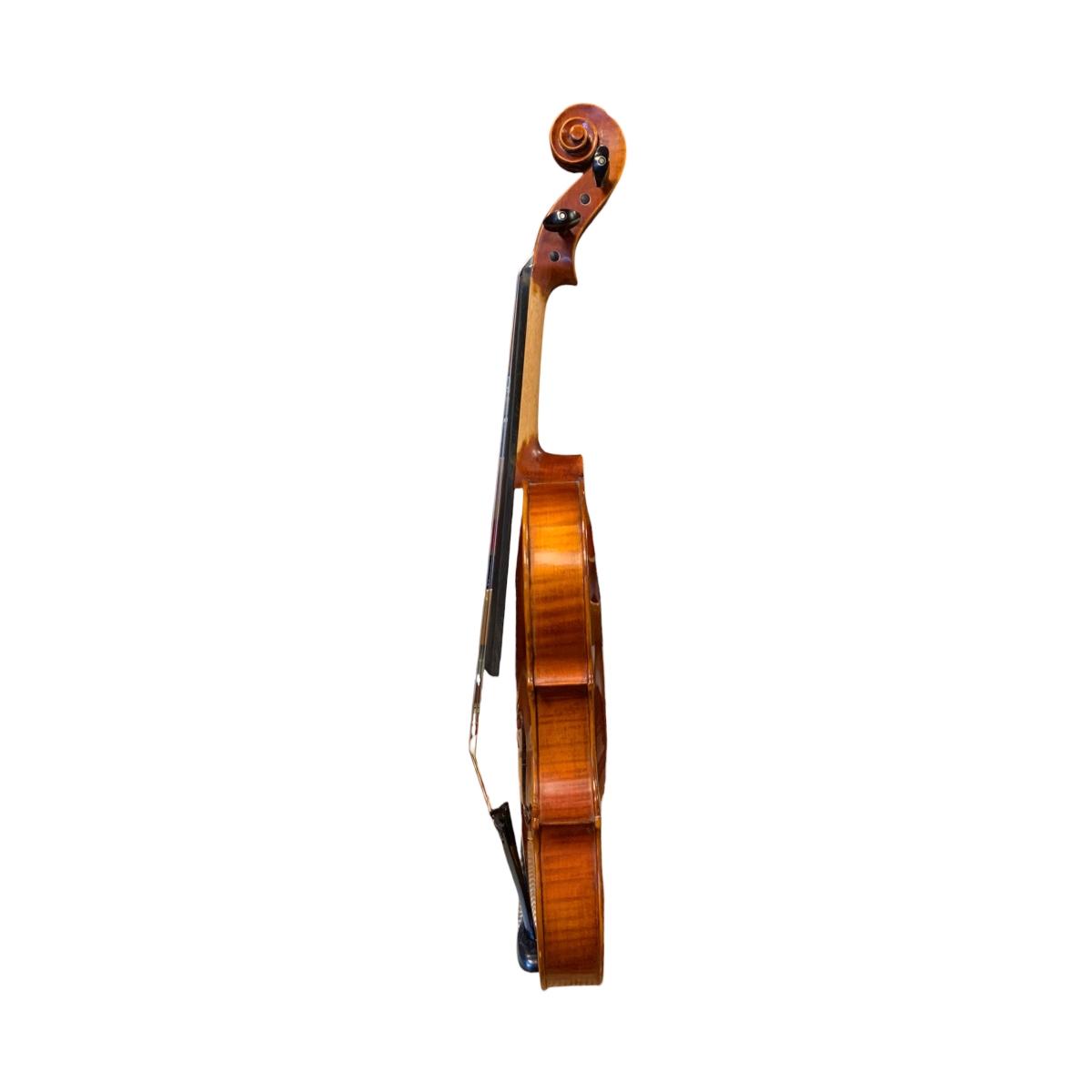 PLC MONTEVERDI VIOLA 15" completa di custodia e arco