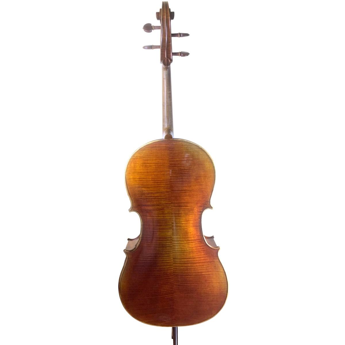 Master luthiers violoncello liuteria 4/4 solista