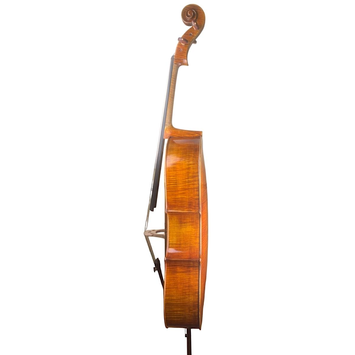 Master luthiers violoncello liuteria 4/4 solista