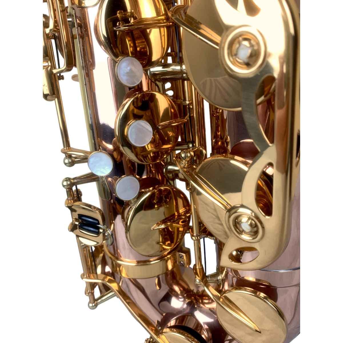 BBRASS CUSTOM II SAX TENORE Fosforo/bronzo raw