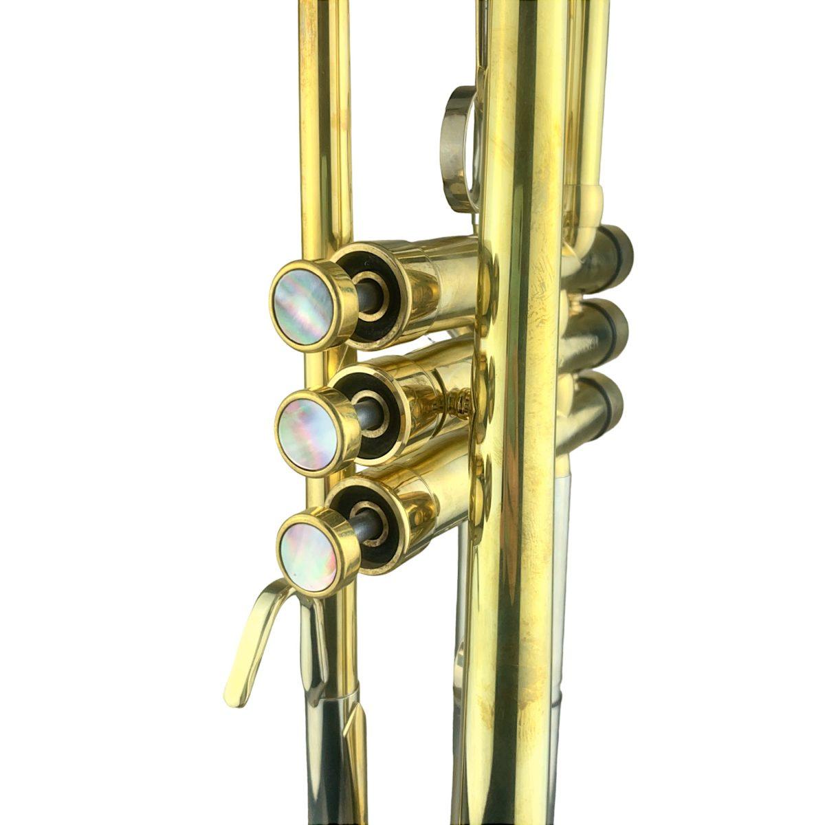 BBRASS JAZZ ONE TROMBA SIB RAW / campana 143mm