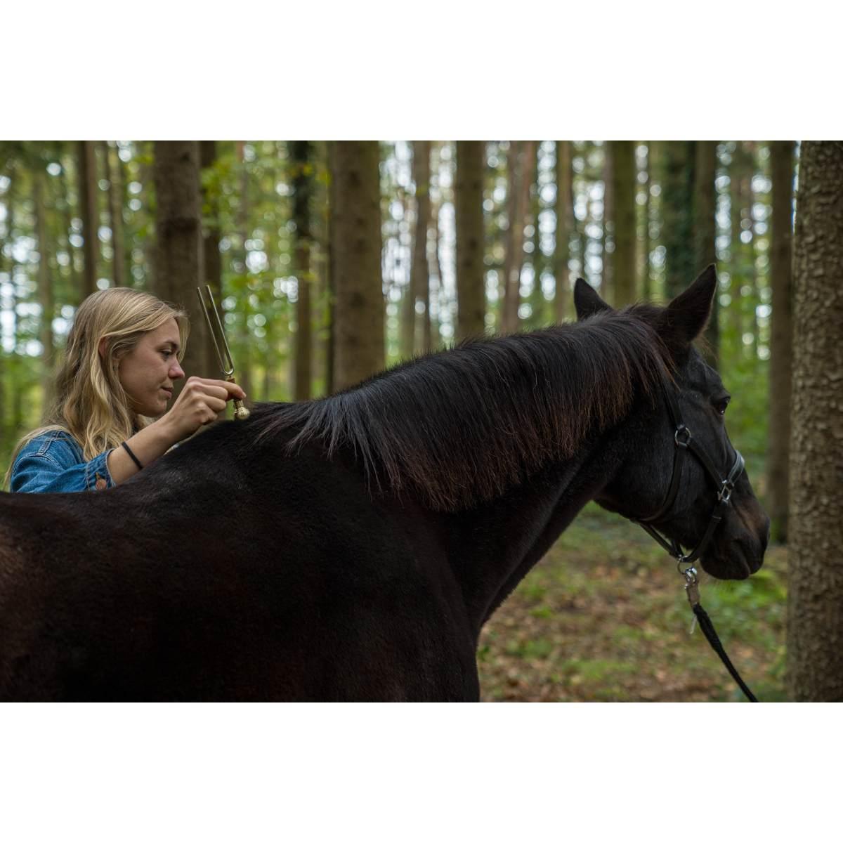 SONIC ENERGY VF-RM Piede vibrante per diapason rotondo medio 129 gr oro