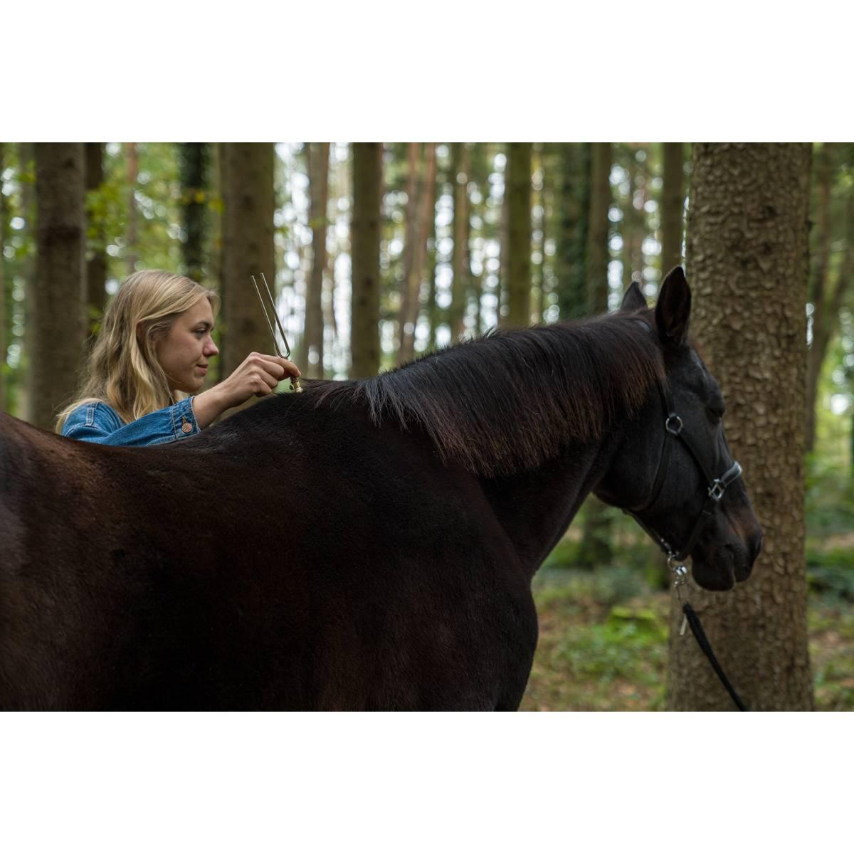 SONIC ENERGY VF-RS Piede vibrante a diapason rotondo piccolo 46 ??gr oro