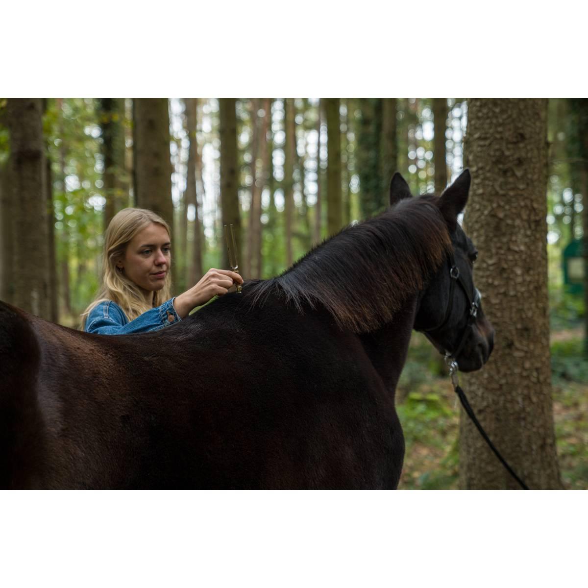 SONIC ENERGY VF-FS Piedino vibrante per diapason piatto piccolo 25 gr oro