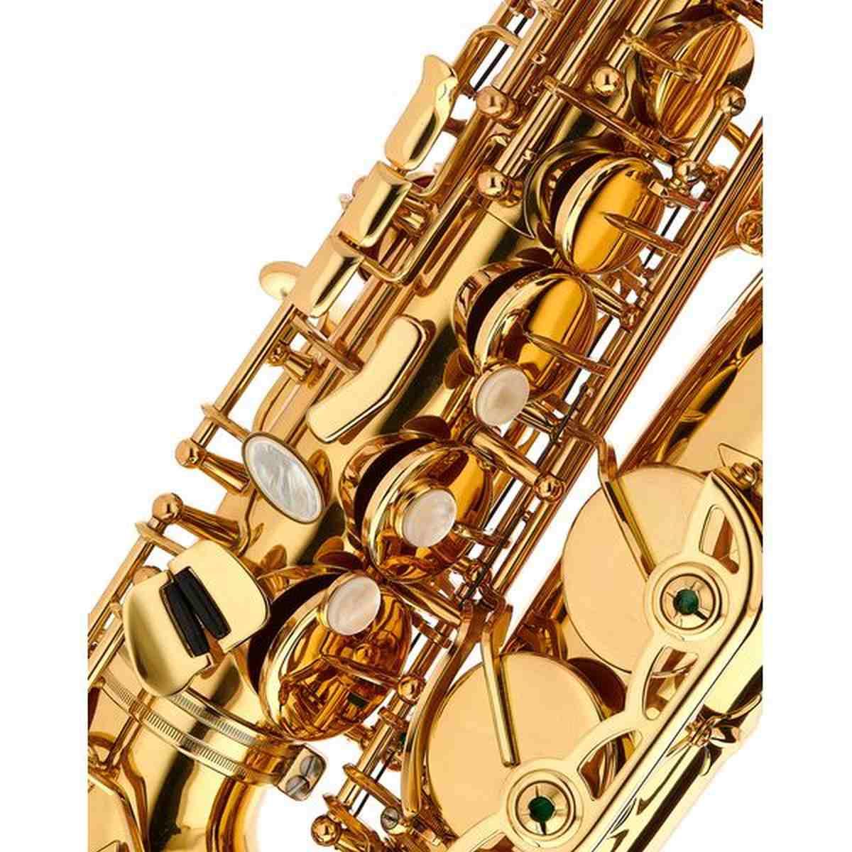 Schagerl  a920l-ii new jubilee edt sax alto
