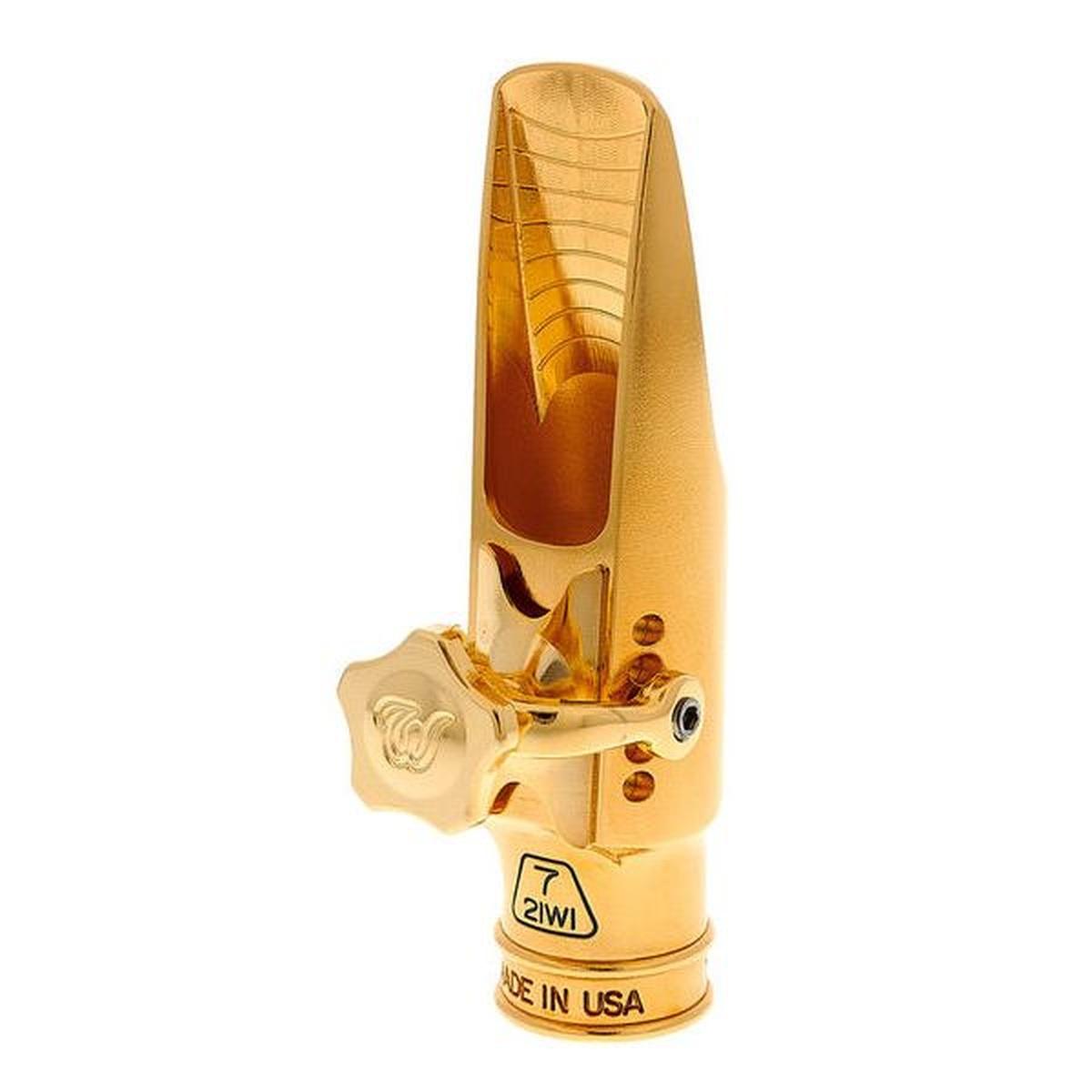 Theo wanne gaia iv bocchino per sax alto 7 gold
