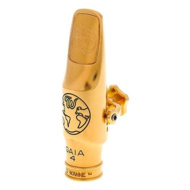 Theo wanne gaia iv bocchino per sax alto 7 gold