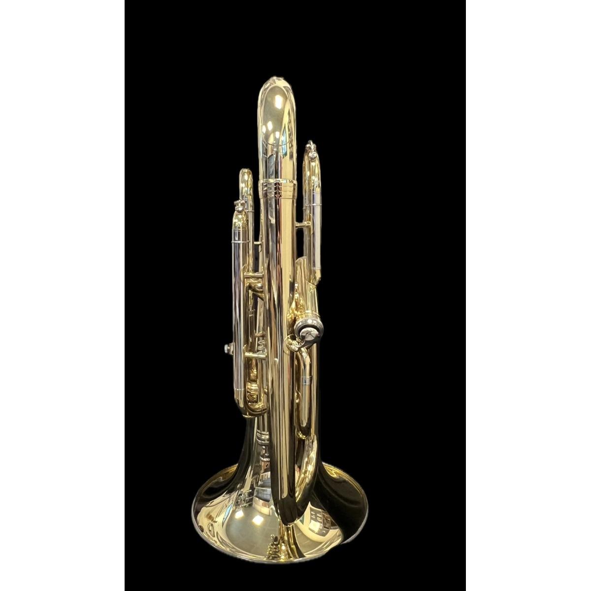 Bbrass p-1160l eufonio sib 3+1 gold brass