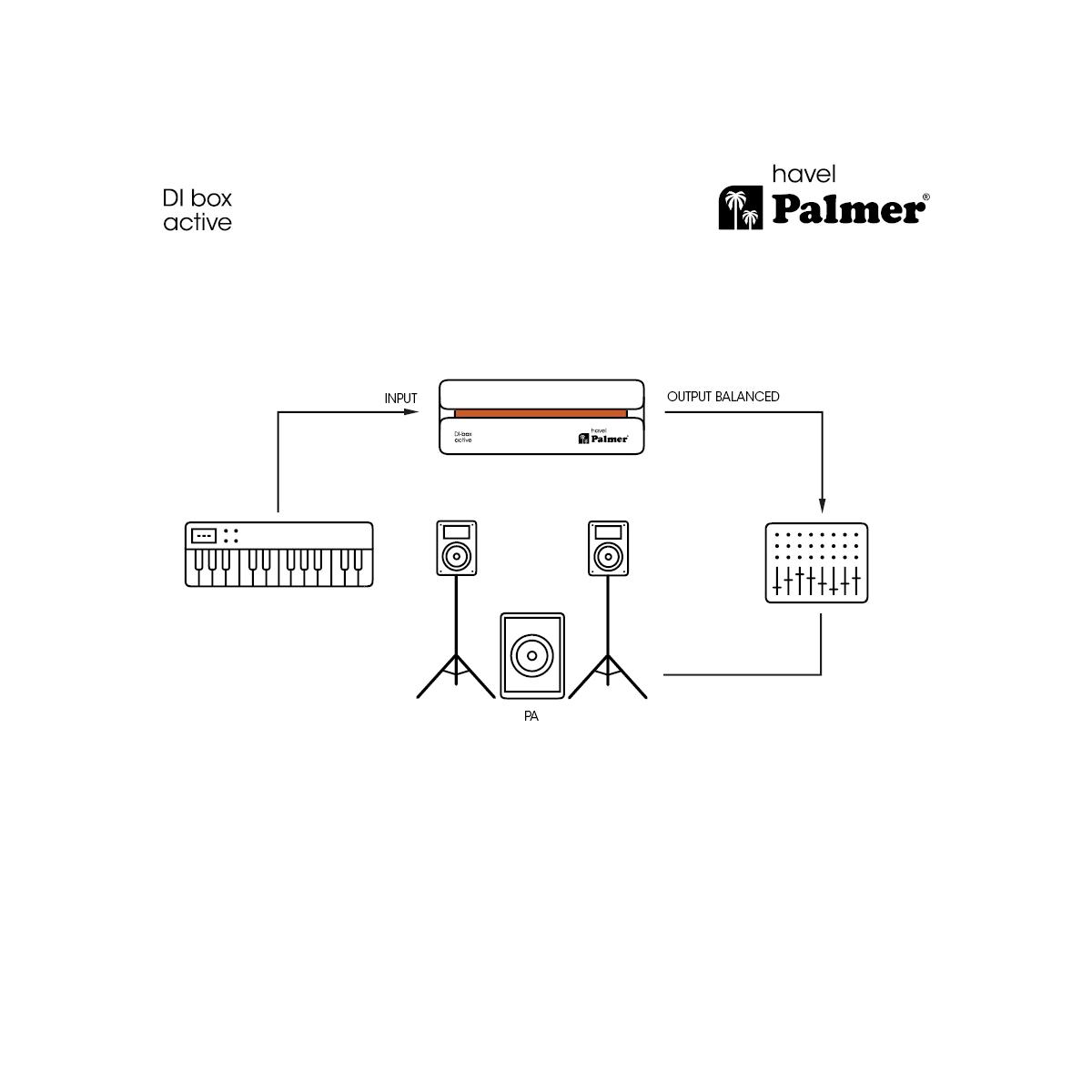 PALMER RIVER havel - DI Box attiva