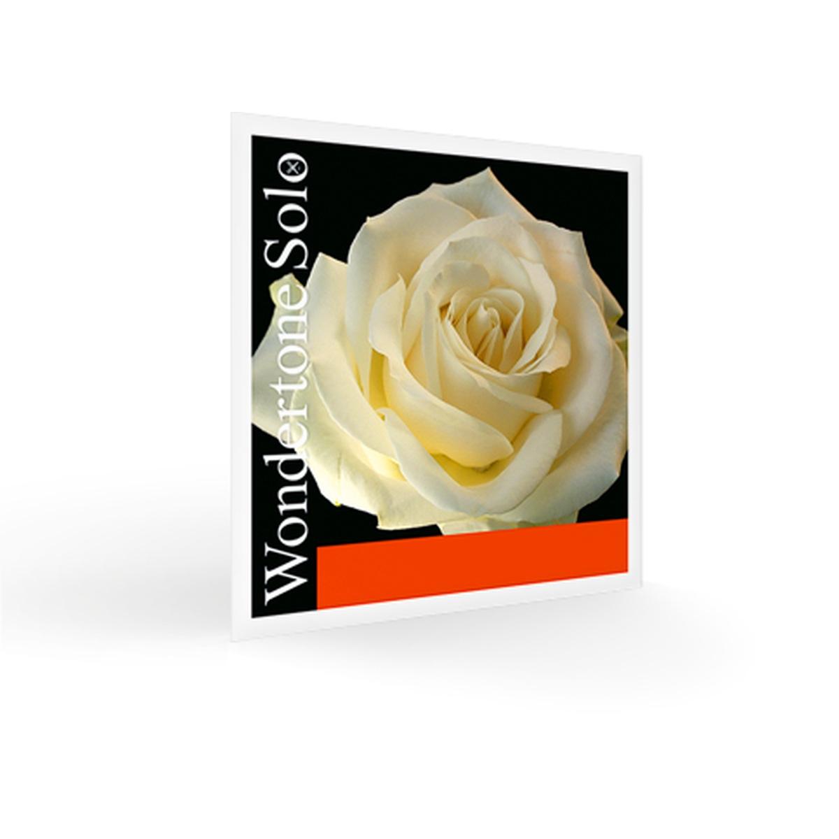 Pirastro wondertone ultra sensitive mi medium violino