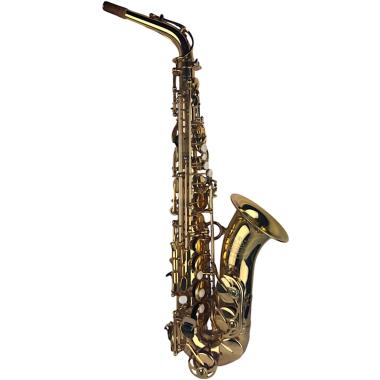 B&s series 2001 sax contralto - usato