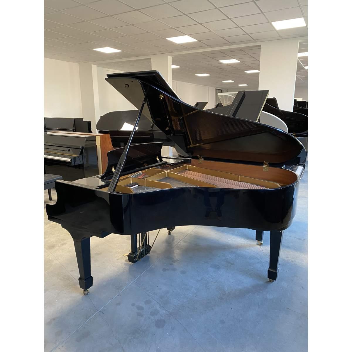 Steiner bg185 mezza coda nero lucido