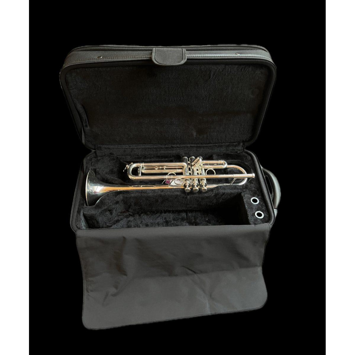 Schagerl jm1s j.morrison tromba silver plated (usato)