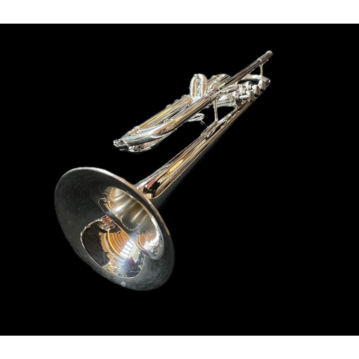 Schagerl jm1s j.morrison tromba silver plated (usato)