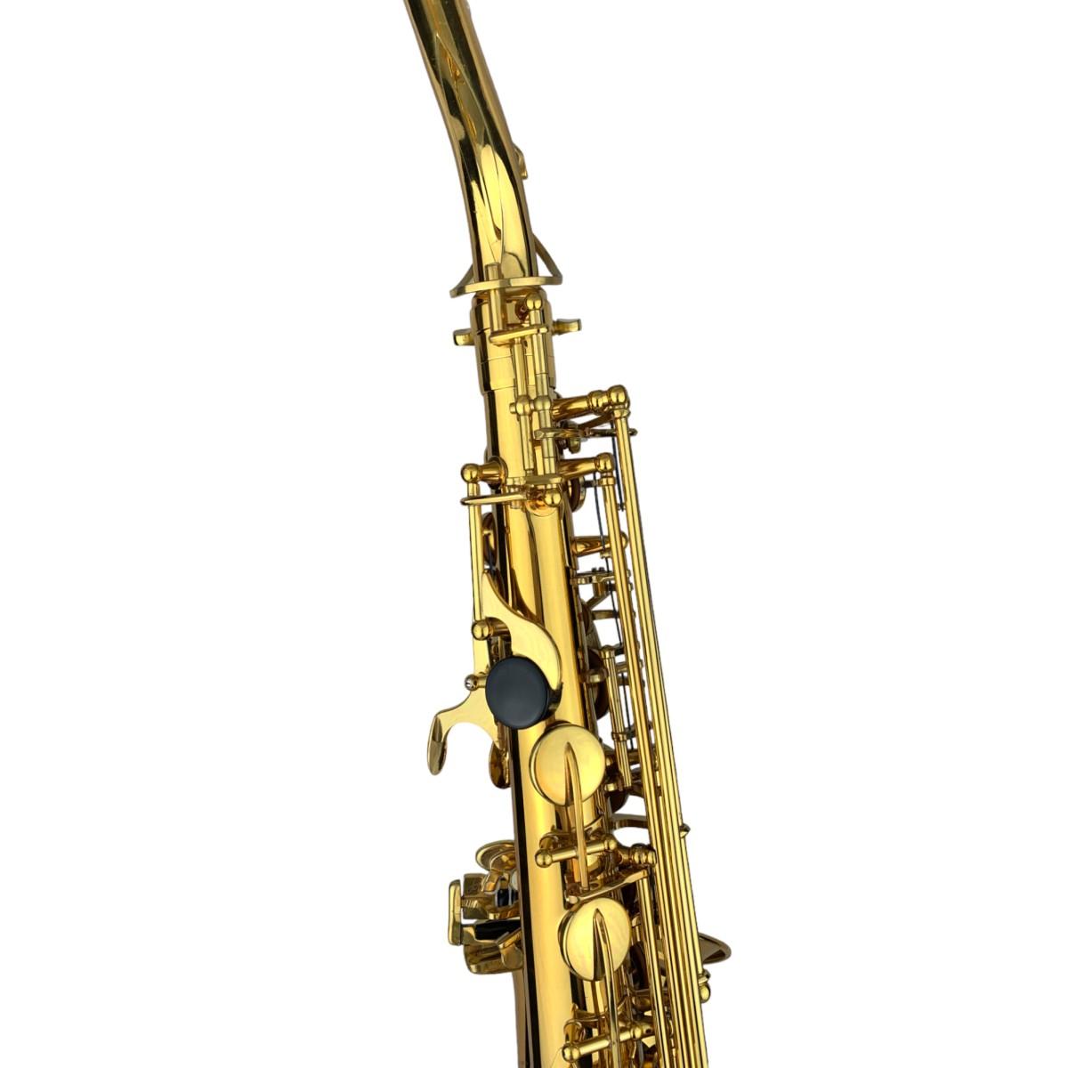 Cigalini sax contralto serie studio laccato