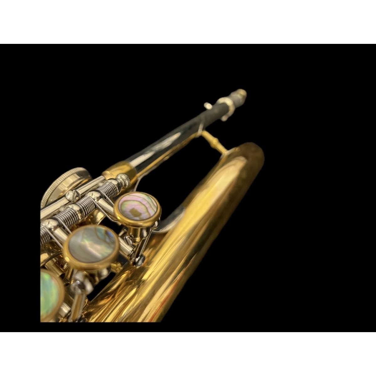 Schagerl flicorno soprano killerking z sn scx 13392 raw brass