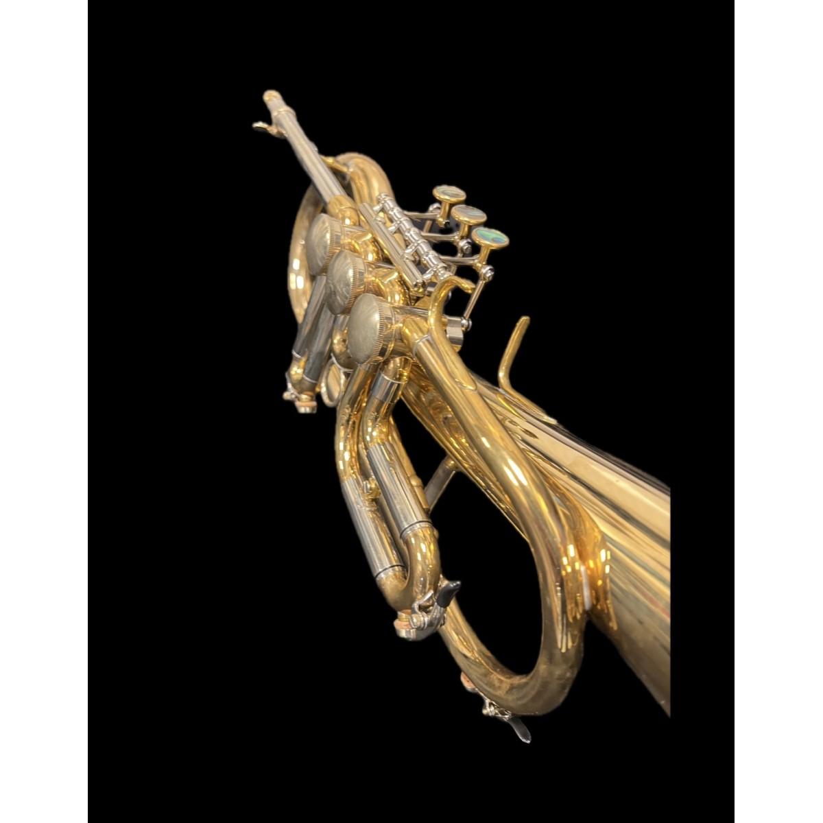 Schagerl flicorno soprano killerking z sn scx 13392 raw brass