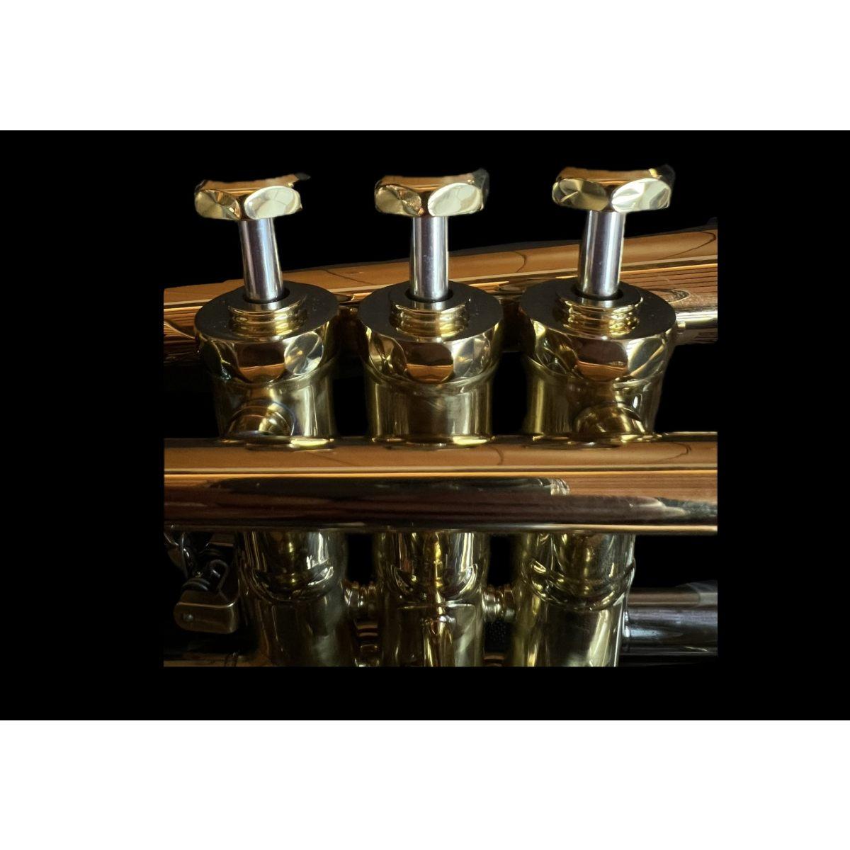 SCHAGERL HANS GANSCH SIGNATURE Cornetta Sib laccata - B STOCK